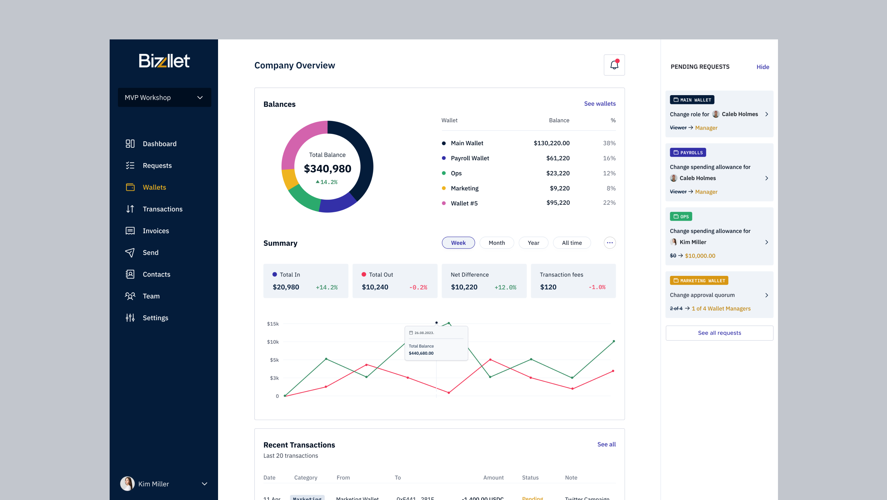 Bizzllet company-overview dashboard — total balance, per-wallet balances, summary metrics, and a cash-flow chart.